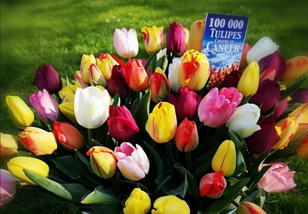 Le Lions Club d&rsquo;Annonay (conférence)