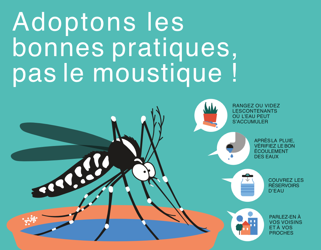 Moustique tigre : agissons dès maintenant